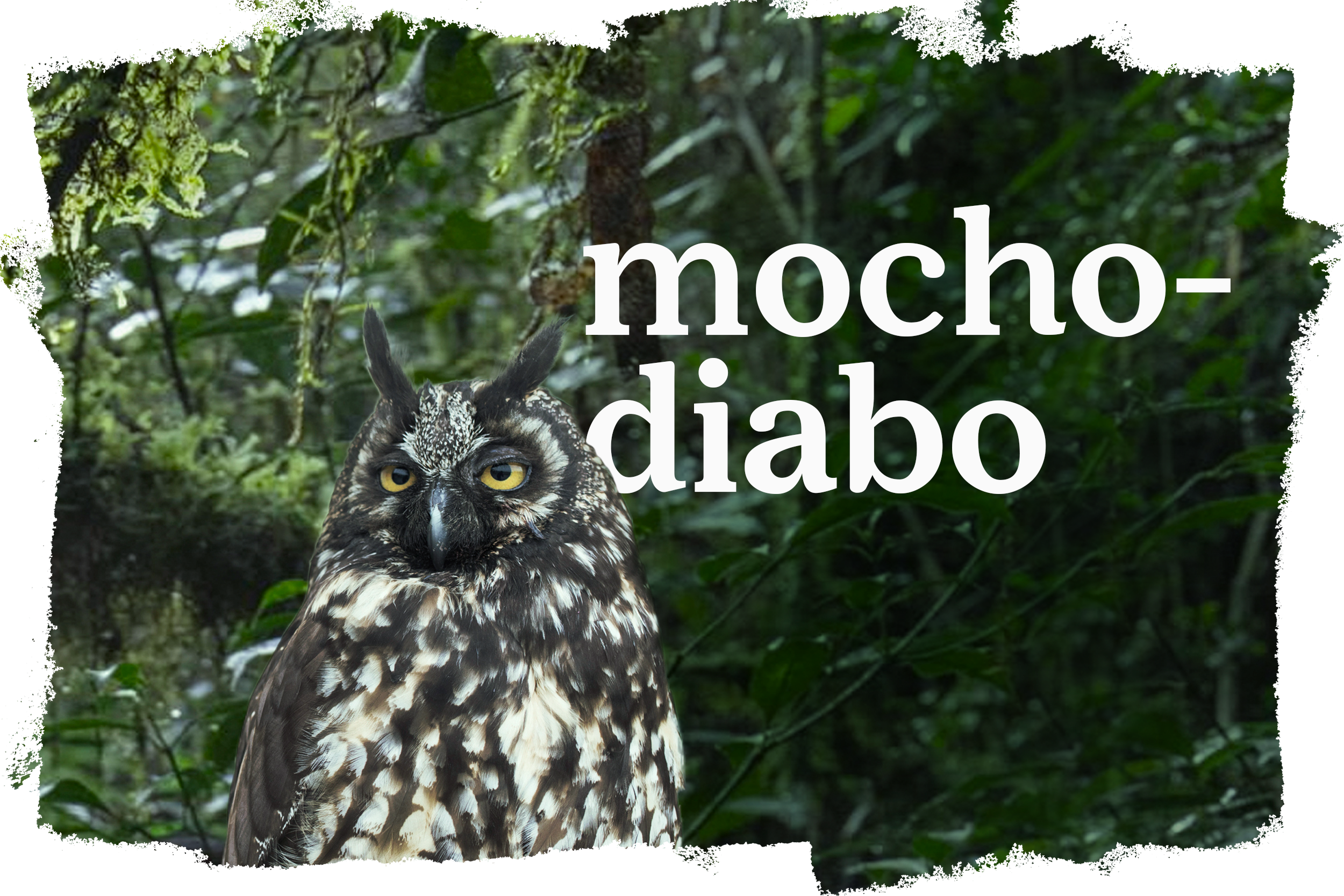 Cover_Mocho-diabo-pt-2-1.png