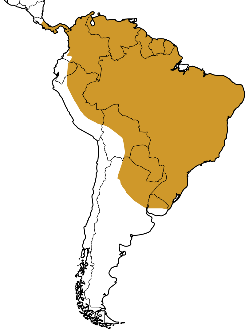 Mapa Distribuição Geográfica