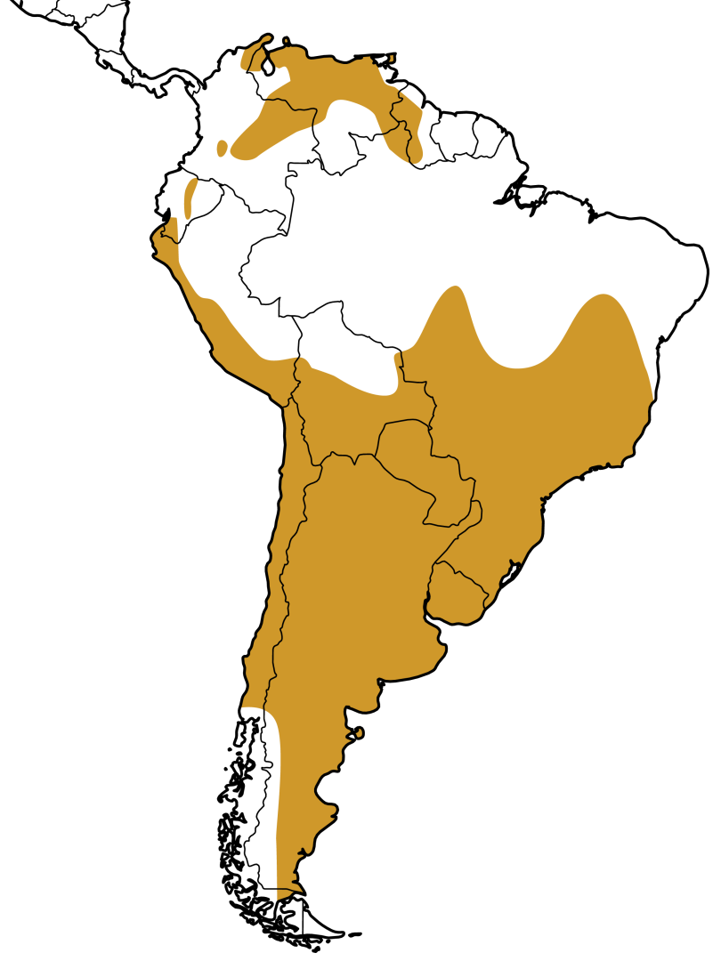 Mapa Distribuição Geográfica