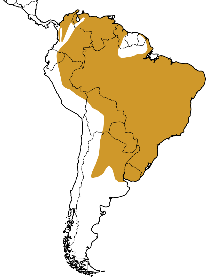 Mapa Distribuição Geográfica