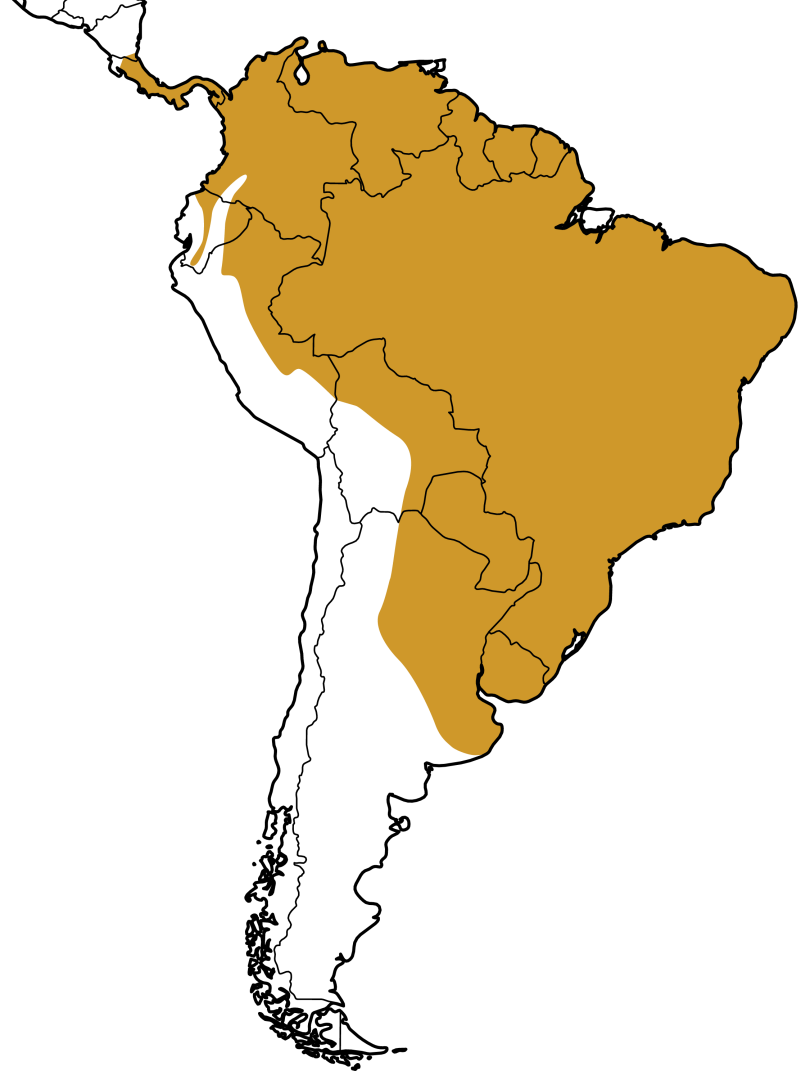 Mapa Distribuição Geográfica