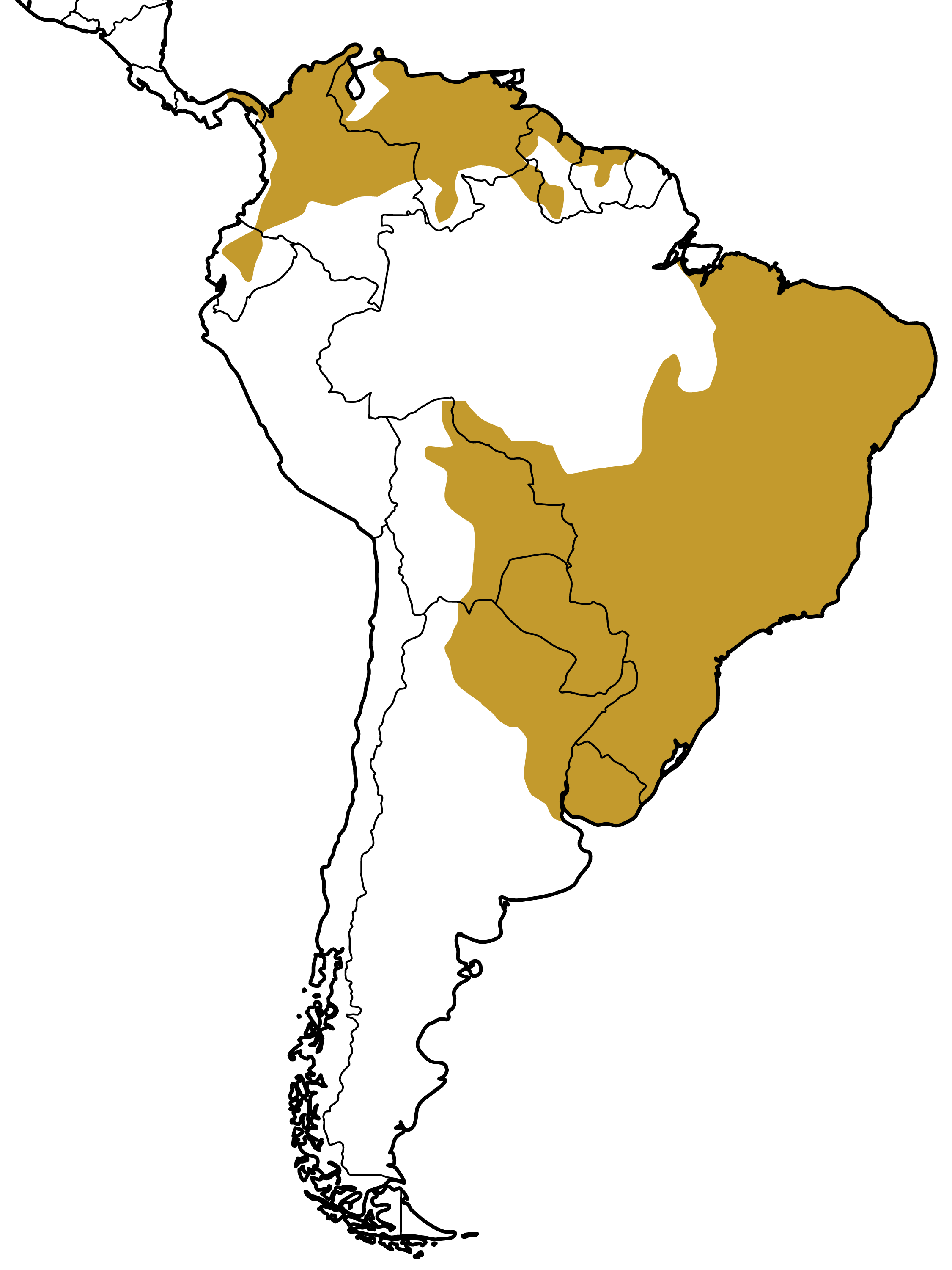 Mapa Distribuição Geográfica