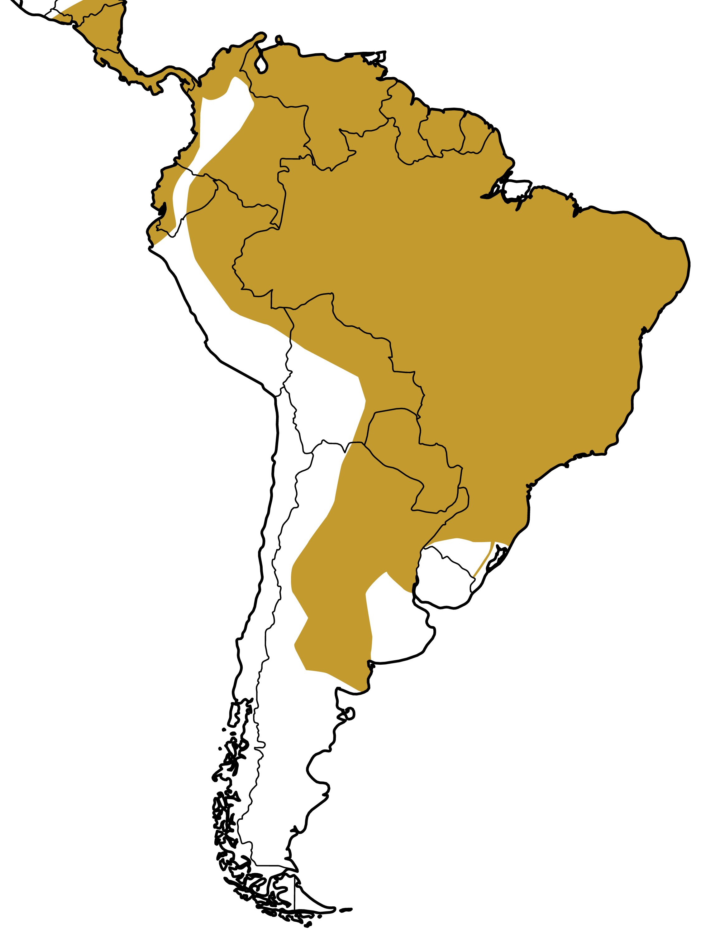 Mapa Distribuição Geográfica