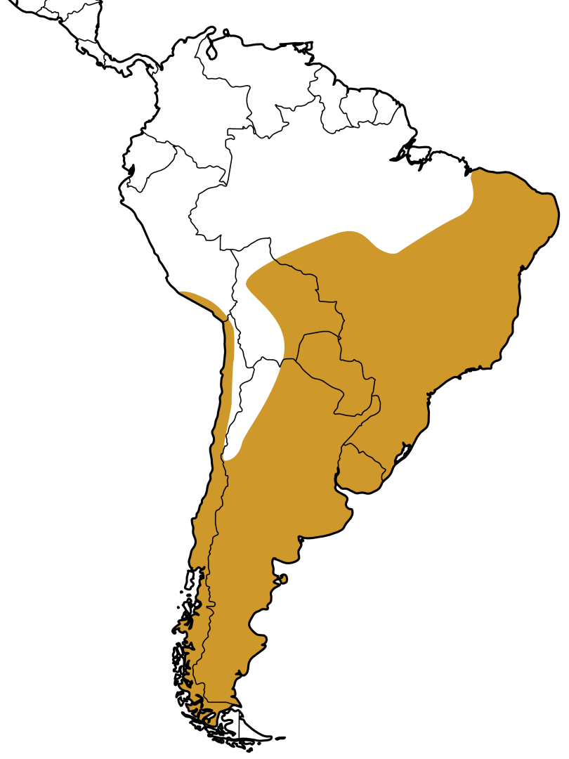 Mapa Distribuição Geográfica